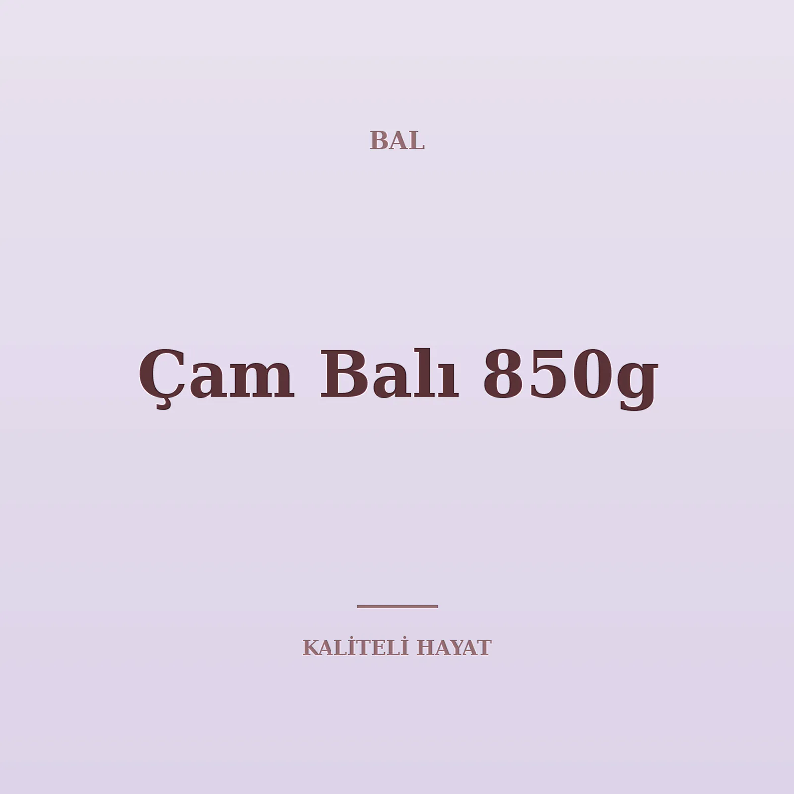 Çam Balı 850g