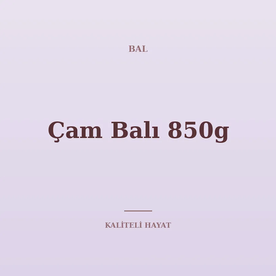 Çam Balı 850g