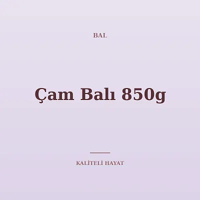Çam Balı 850g