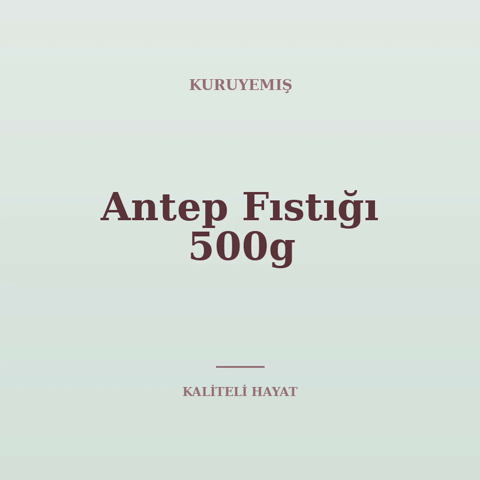 Antep Fıstığı 500g